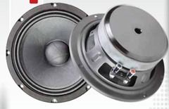 6.5"midrange speaker ME6G6,  100wrms, 1.5'' voice coil, 4/8 ohms, freq. response: 100-18KHz, Sensitivity: 92.1dB